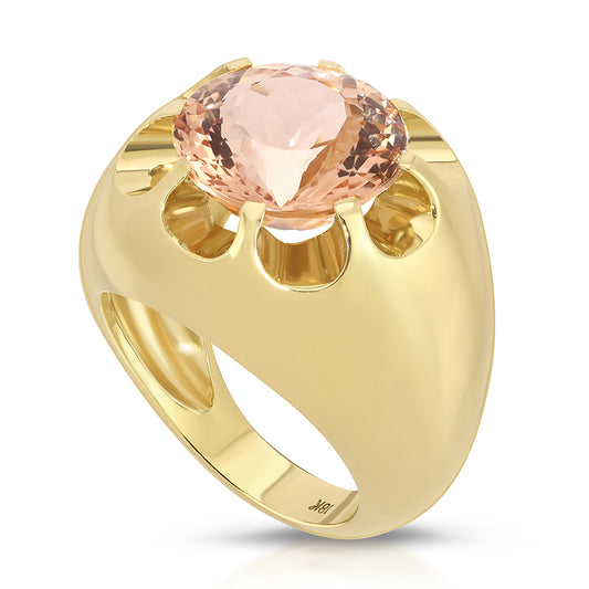 FORTIS FORTUNA DAISY
