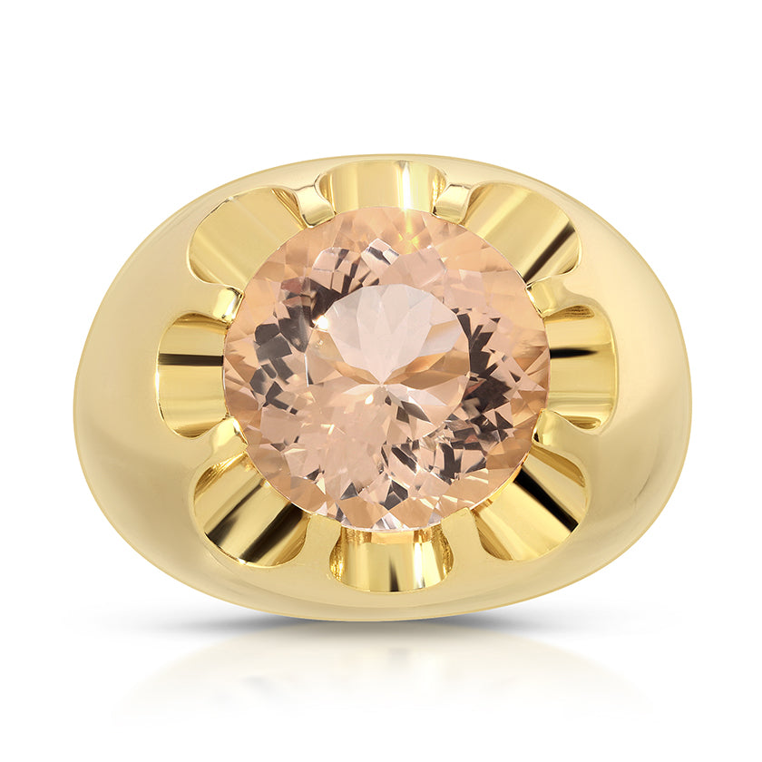 FORTIS FORTUNA DAISY